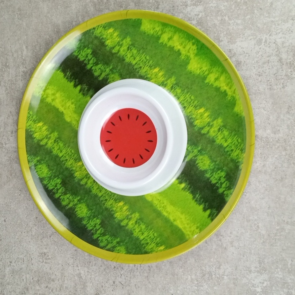 ⛱️ Watermelon Chip Dip Plate